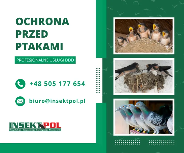 ochrona przed ptakami ochrona przed ptakami