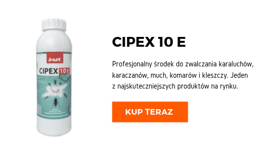środek na karaluchy karaczany