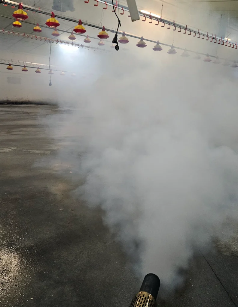 zamgławianie dezynfekcja kurnika