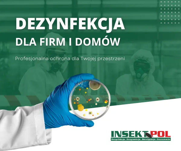 dezynfekcja