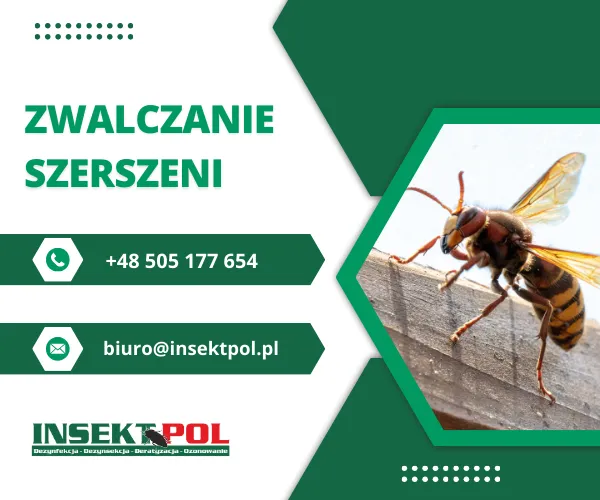 zwalczanie szerszeni