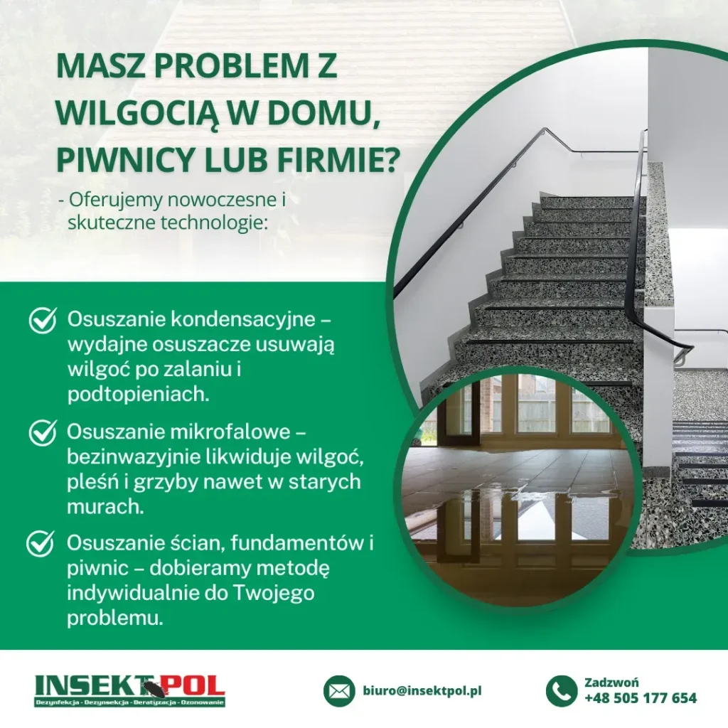 osuszanie budynku mikrofalami