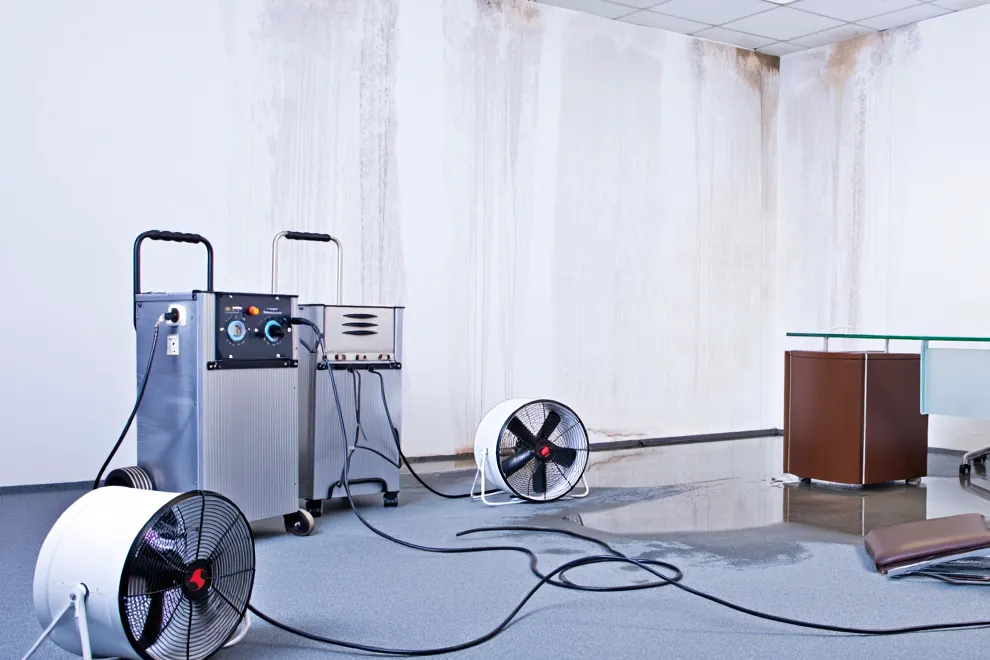 osuszanie budynku usługi