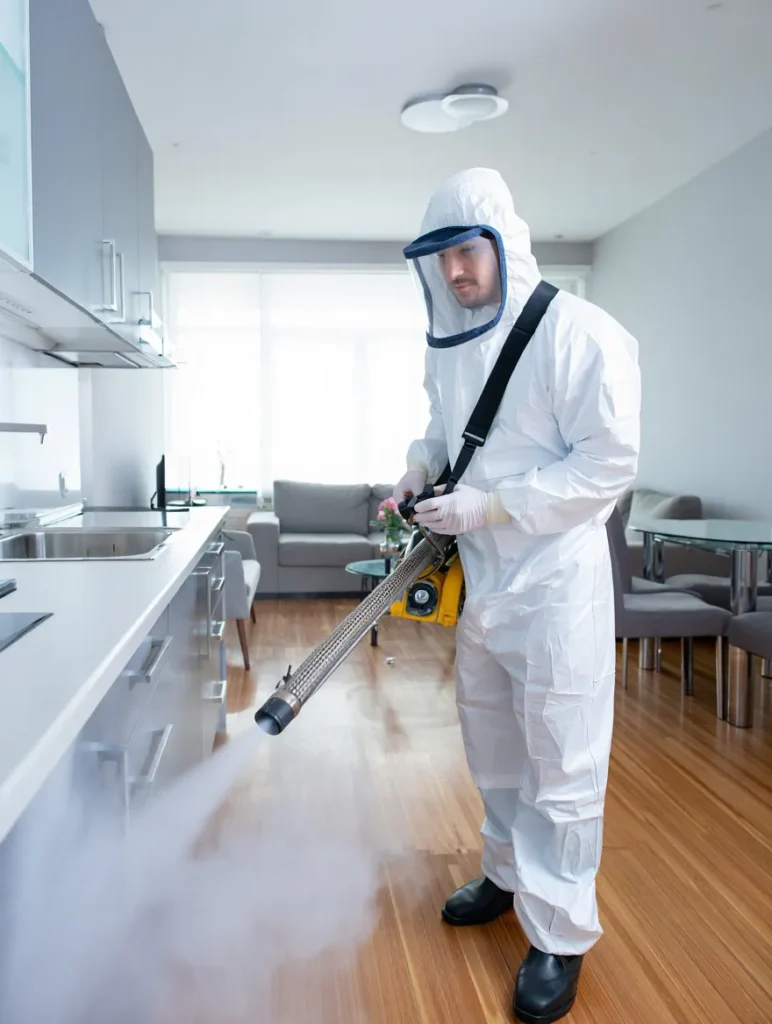 dezynfekcja mieszkania po śmierci insektpol