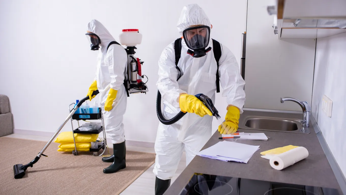 dezynfekcja mieszkania po śmierci