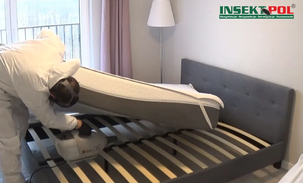 zwalczanie pluskiew pod materacem
