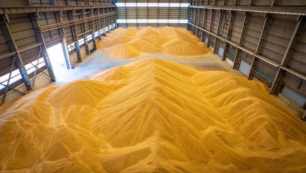 fumigacja zboża na magazynie