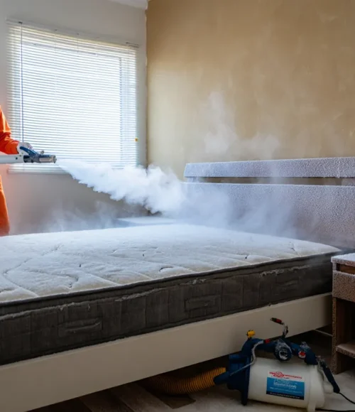 wymrażanie pluskiew